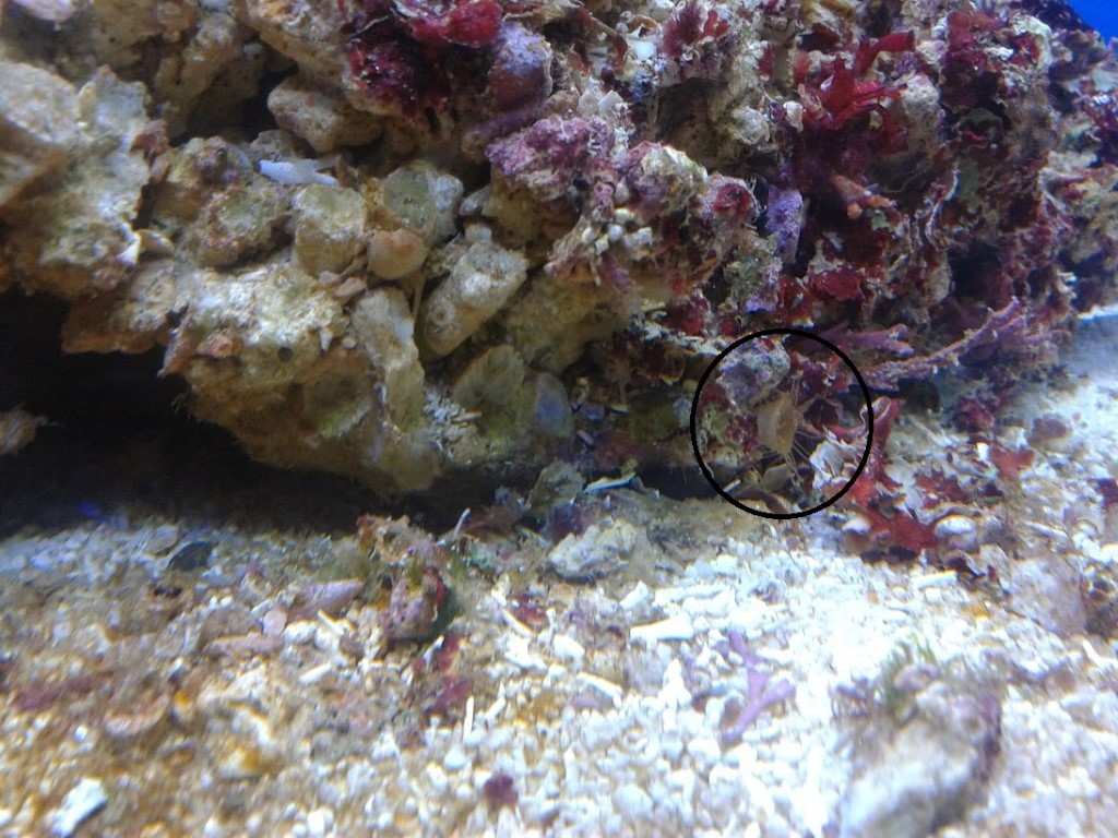 20131212_232518 (Medium)