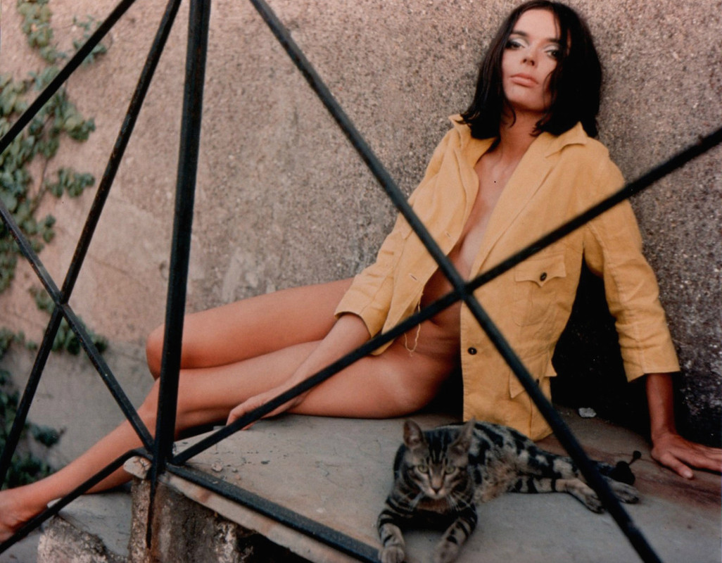 barbara_steele_a39