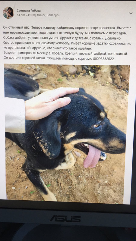 82CC4BF2-E1C8-428A-A05E-AF7743887113