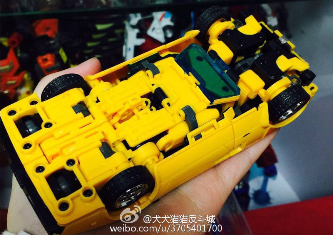 774207_929338333819243_2344369255917653868_o