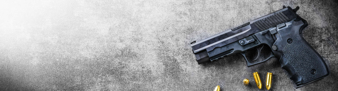 Alpha 2 LTC - Texas License to Carry Online - https://texascarrycourse.com