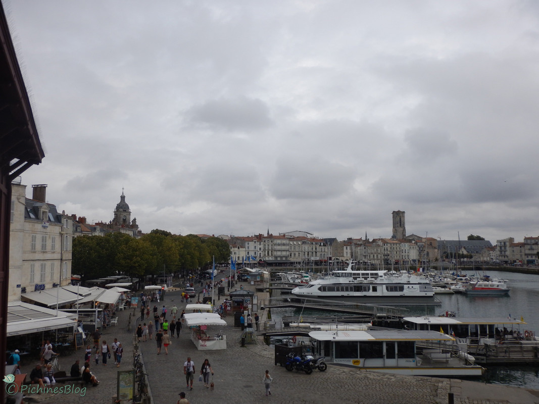 DSCN1553