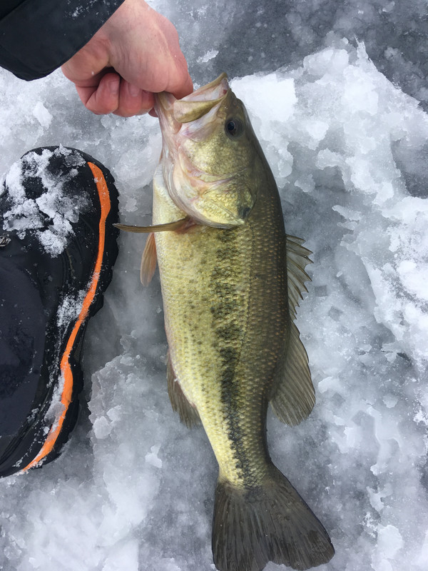 AF8954DF-F915-4C68-B49A-D3235F47223C