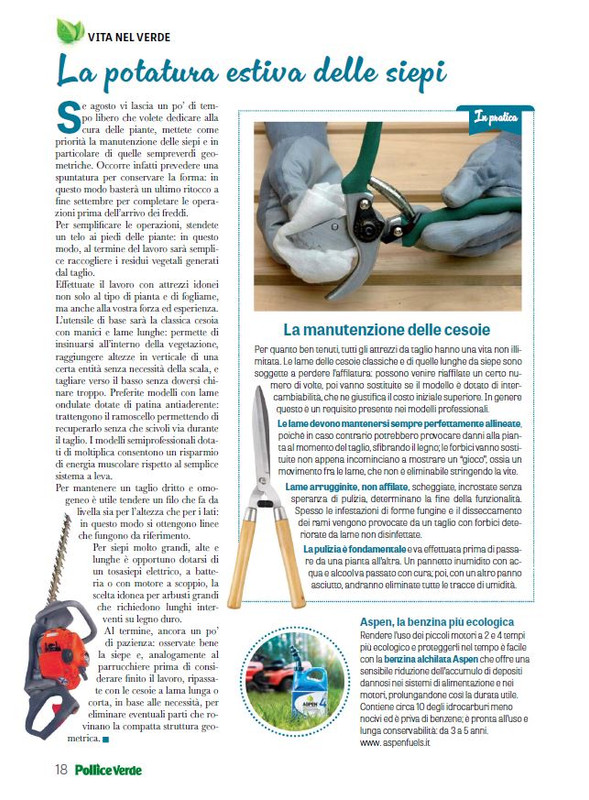 Pol Ver Ago 2024 (3)