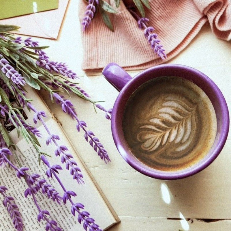 Screenshot_20230124_001920_Chrome