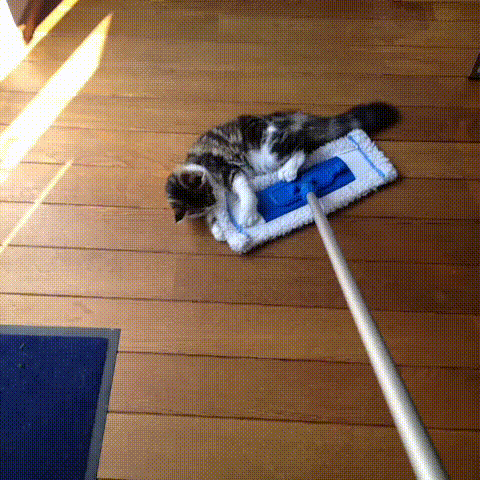 daily-gifdump-3406-18.gif