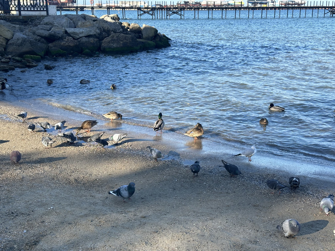 IMG-8389.jpg