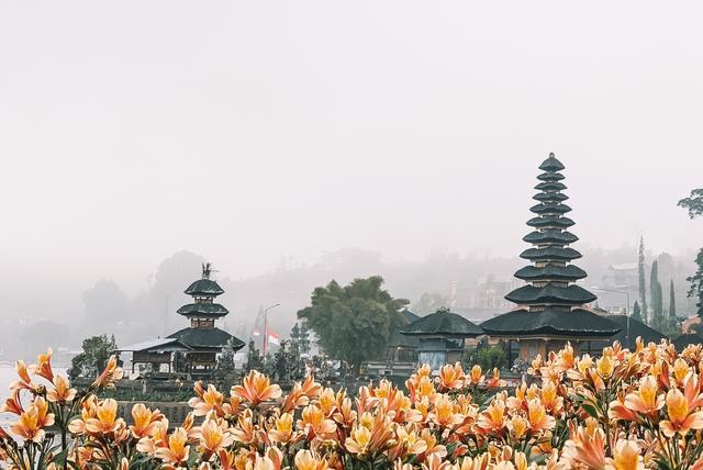 Singapur e Indonesia 2018 - Blogs de Indonesia - Bali (más cascadas y templos) (12)
