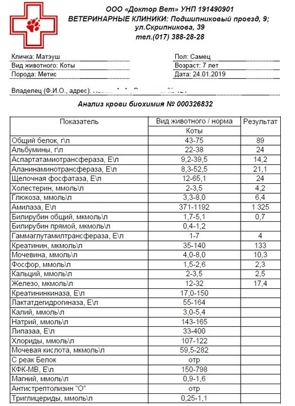 анализ бак 240119