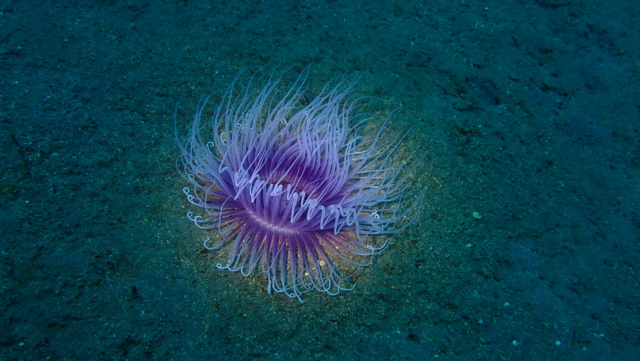 91382C0D-10C3-4029-B3C3-D6ACAD55CFA8