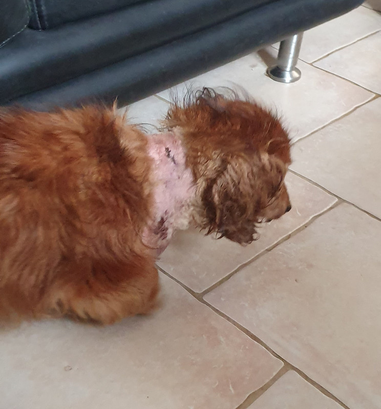 [Image: 20230804-151013.jpg]