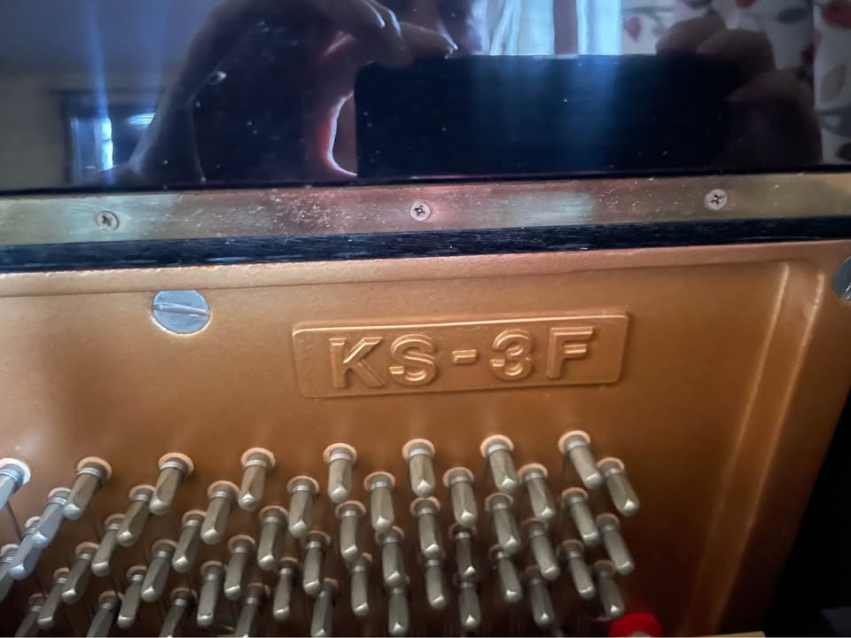 664278141 1724401872002796 6835397077908561902 n