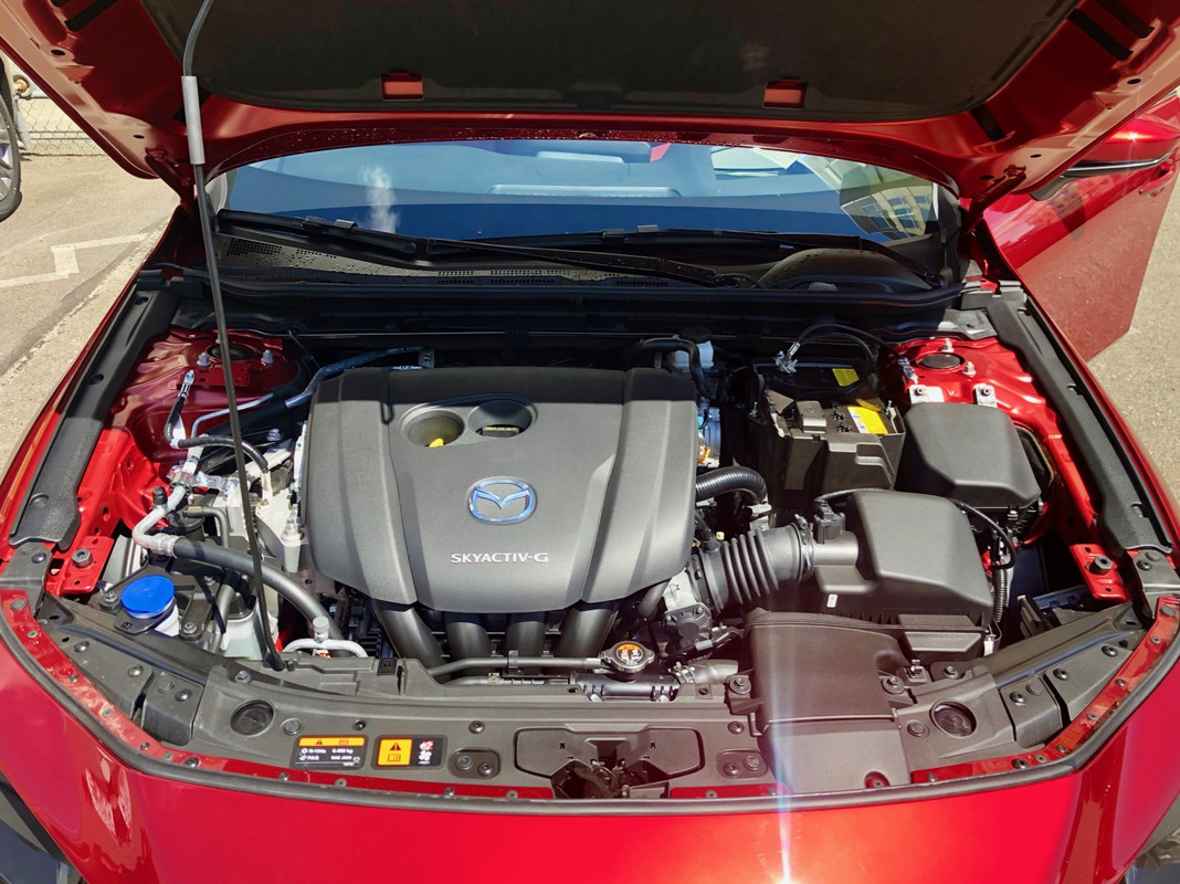 IMG_5586.jpg.4acab71edd05047f8b8f988cc08ac2a6