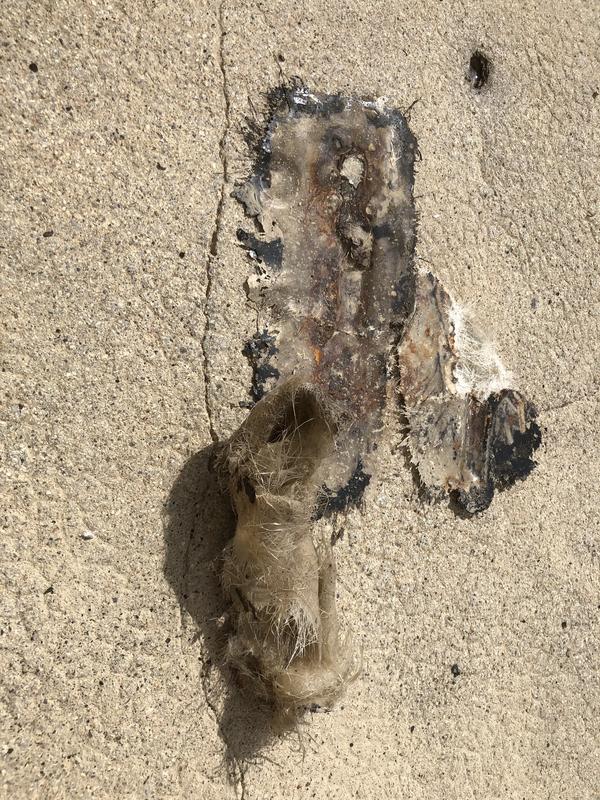 651155A7-1959-47DA-9674-6A33130059C7