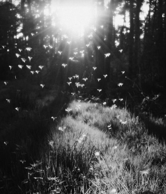 Screenshot_20230401_010734_Pinterest