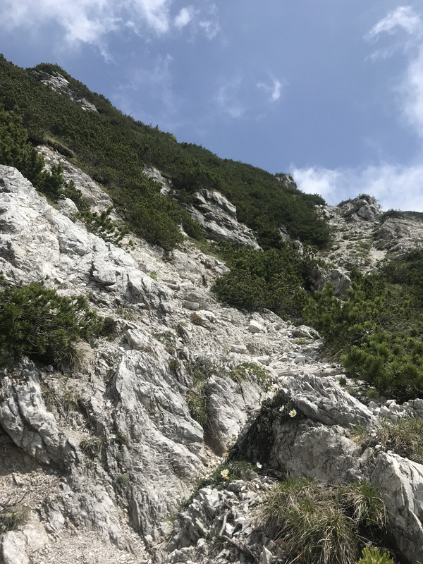 220BFB20-1CB5-4A0A-9536-A932CA86516A