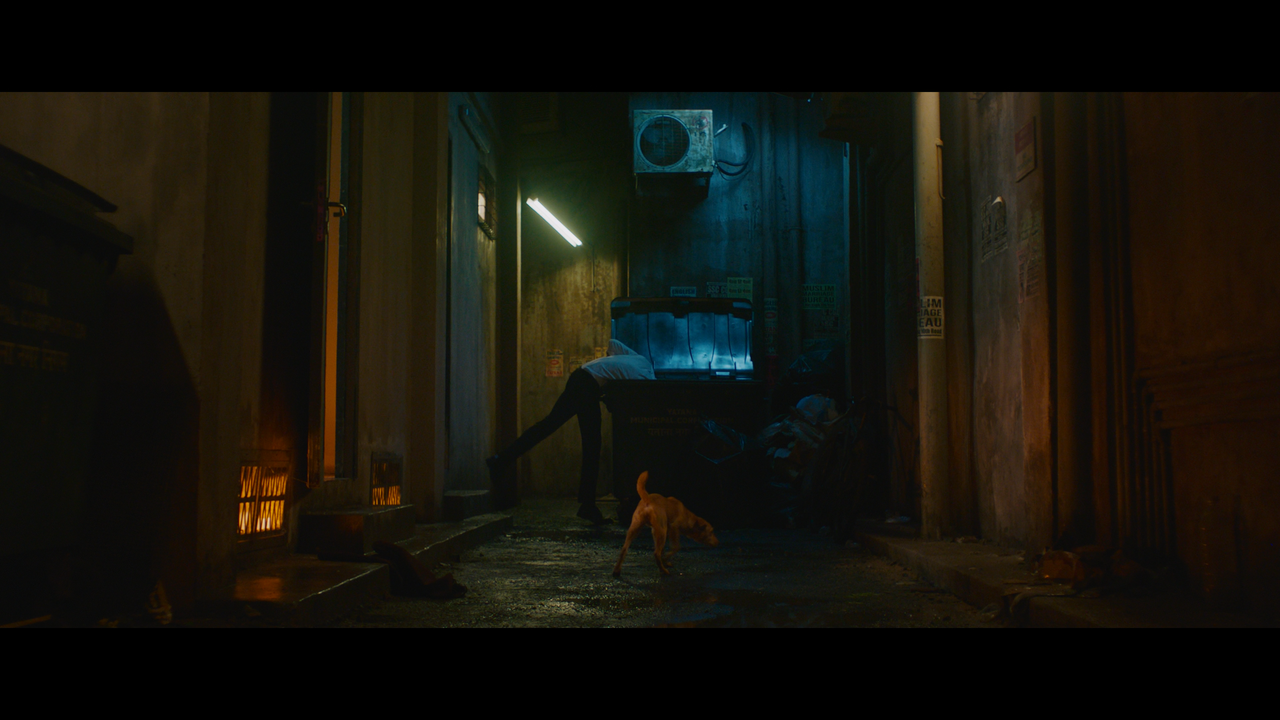 mpv-shot_Monkey.Man.2024.2160p.UHD.BDREMUX.Hybrid.HDR.DV.HEVC-Нечипорук_00_30_17_0004