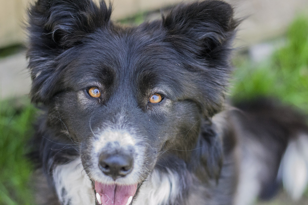 Фортуна_04_19_м17