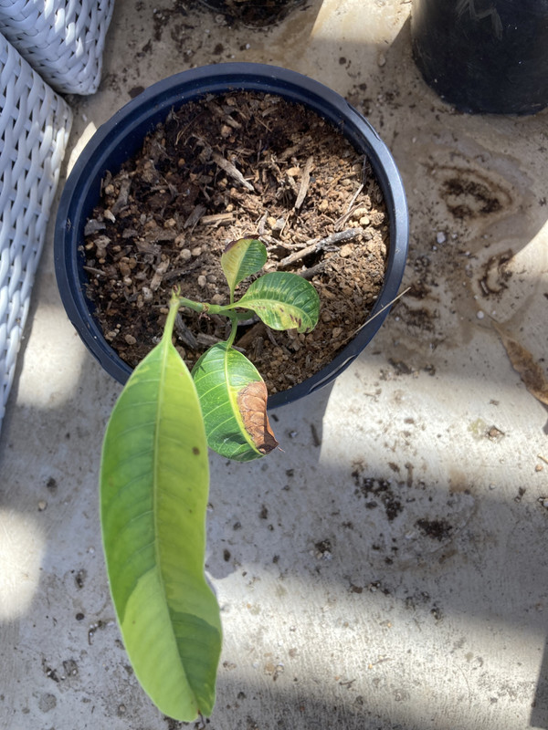 DEDD0108-DD0B-4263-898F-D06FBD276F65