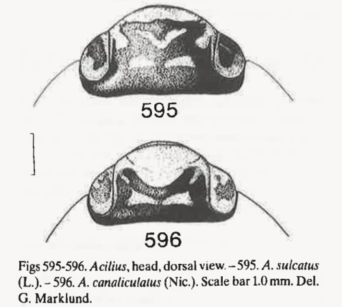 изображение_2023-07-18_135018515