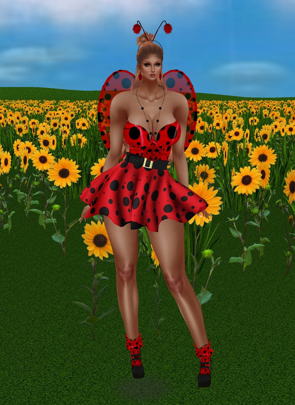 Ladybug-Dress-Medium