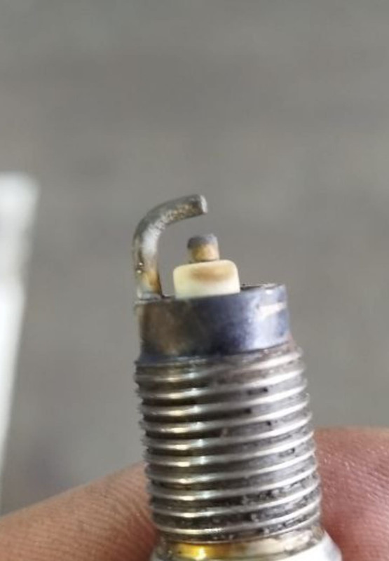 Изображение WhatsApp 2025-06-10 в 01.35.41_96368f70