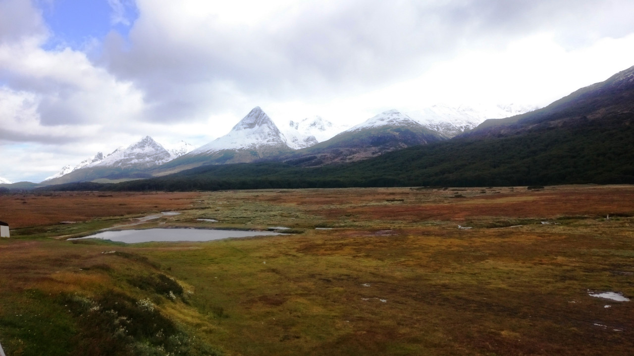 Аргентина (7)