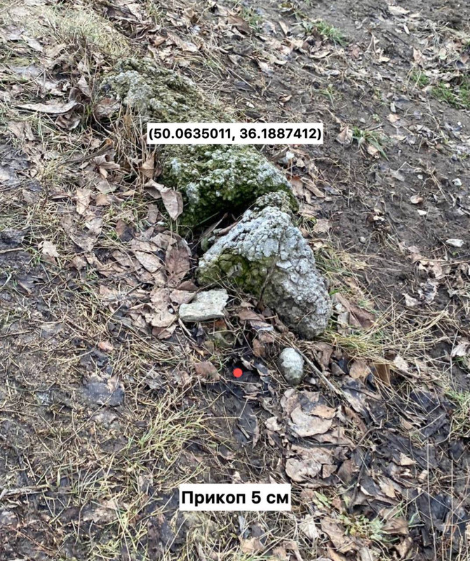 photo 17 2024 03 06 12 06 56