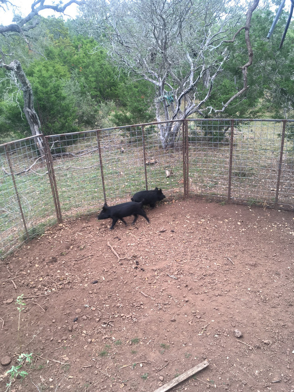 E4CADC12-7061-4DF6-8BA5-23E93E78A508