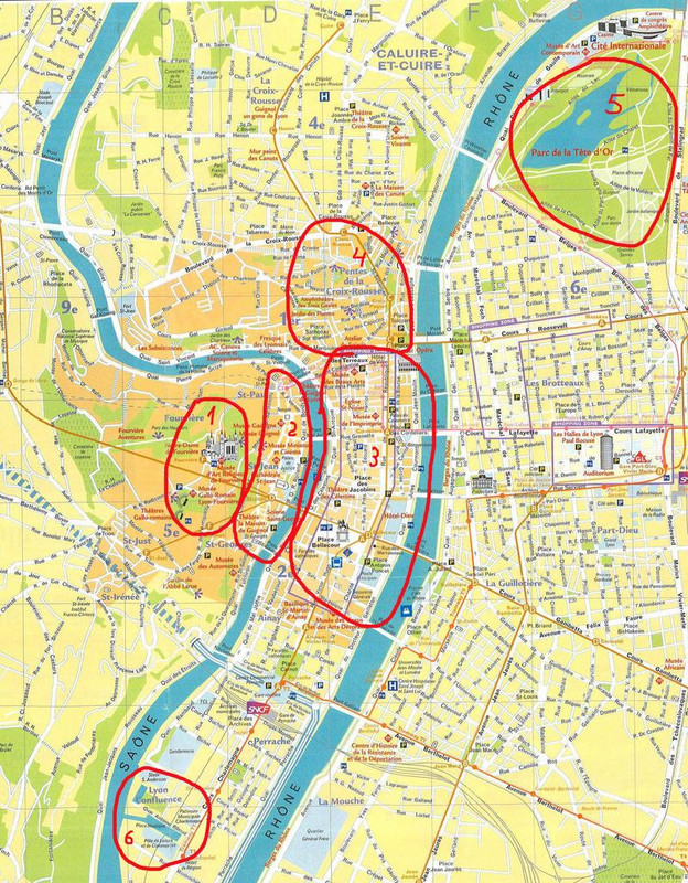 Лион большая крупно