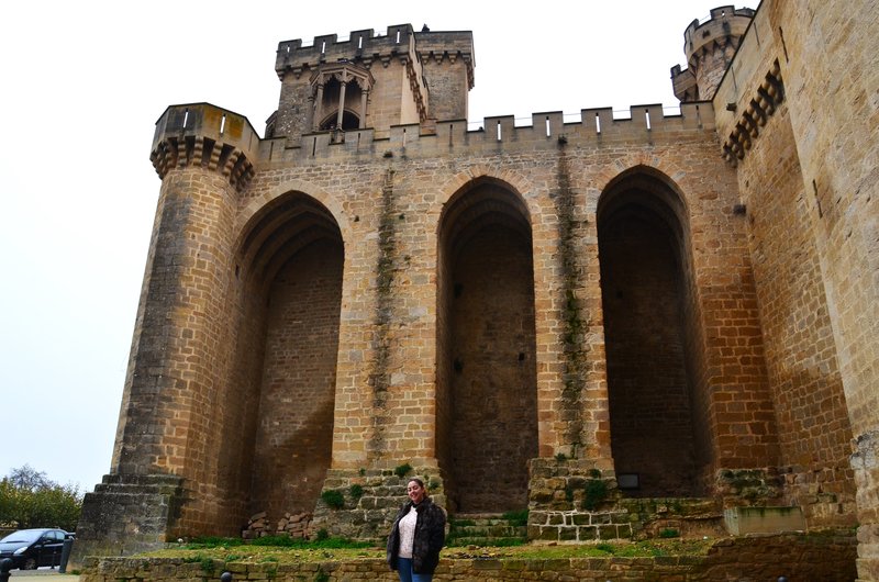 Olite-15-11-2015 - Navarra y sus pueblos-2015 (61)