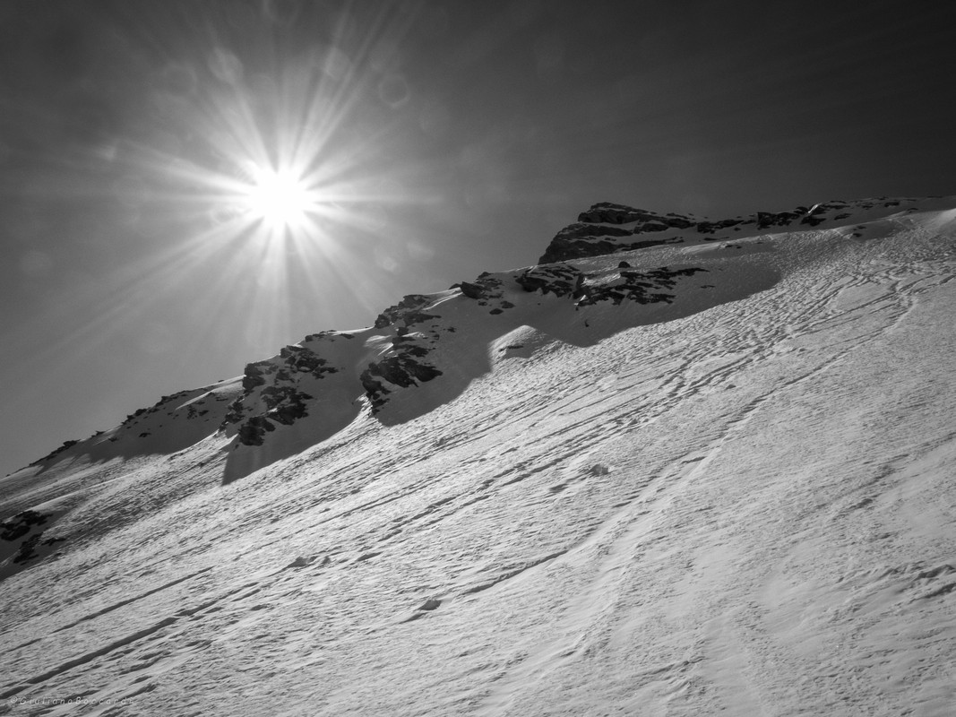 DSCF1079