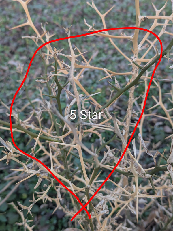 PXL 20260310 213445032 2