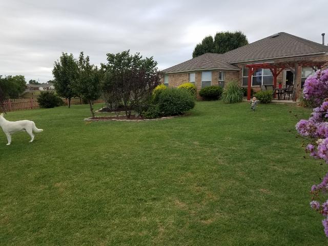 Resized_20170618_195316