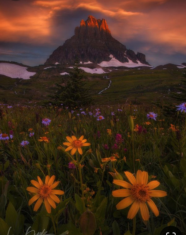 Screenshot_20240529_230141_Pinterest