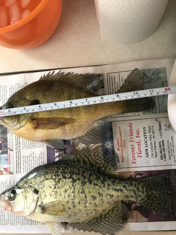 A781772A-4D4F-46E7-8181-1F2F777B52CE