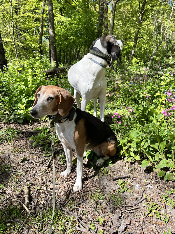 85A75E3A-6534-4748-902D-E2160F1B4E06