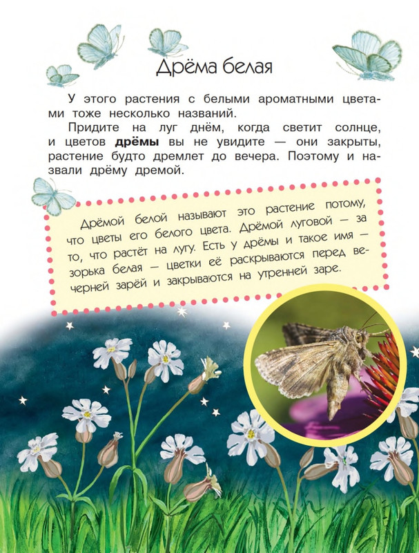 Onegov-Anatolij-Pochemu-kukushka-slozki-lot-page-0033