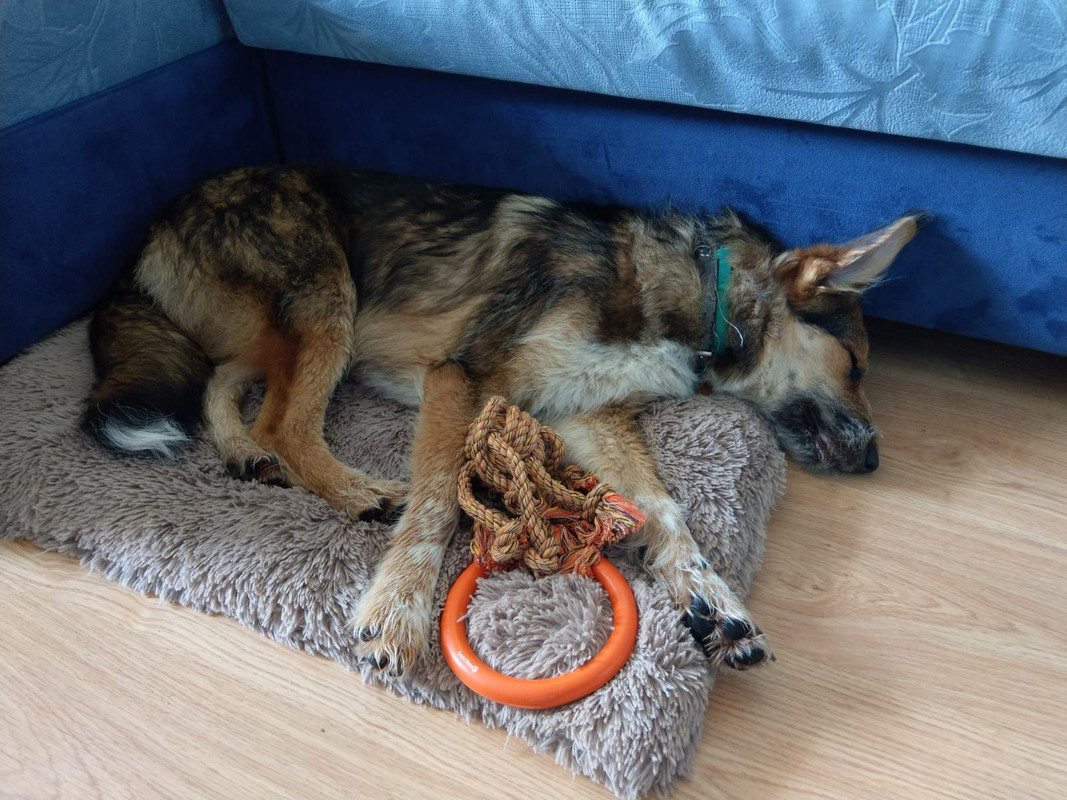 изображение_viber_2020-06-07_13-49-27