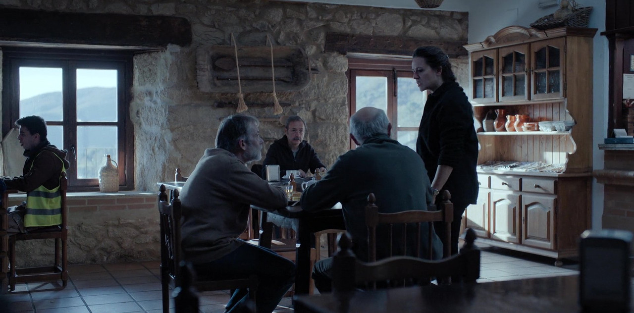 cat-2025-11-14-08h41m43s526