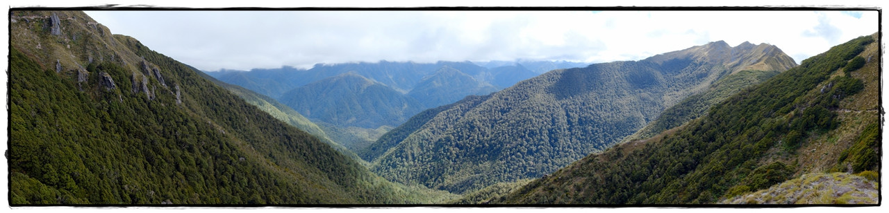 The Old Ghost Road (marzo 2024) - Escapadas y rutas por la Nueva Zelanda menos conocida (32)