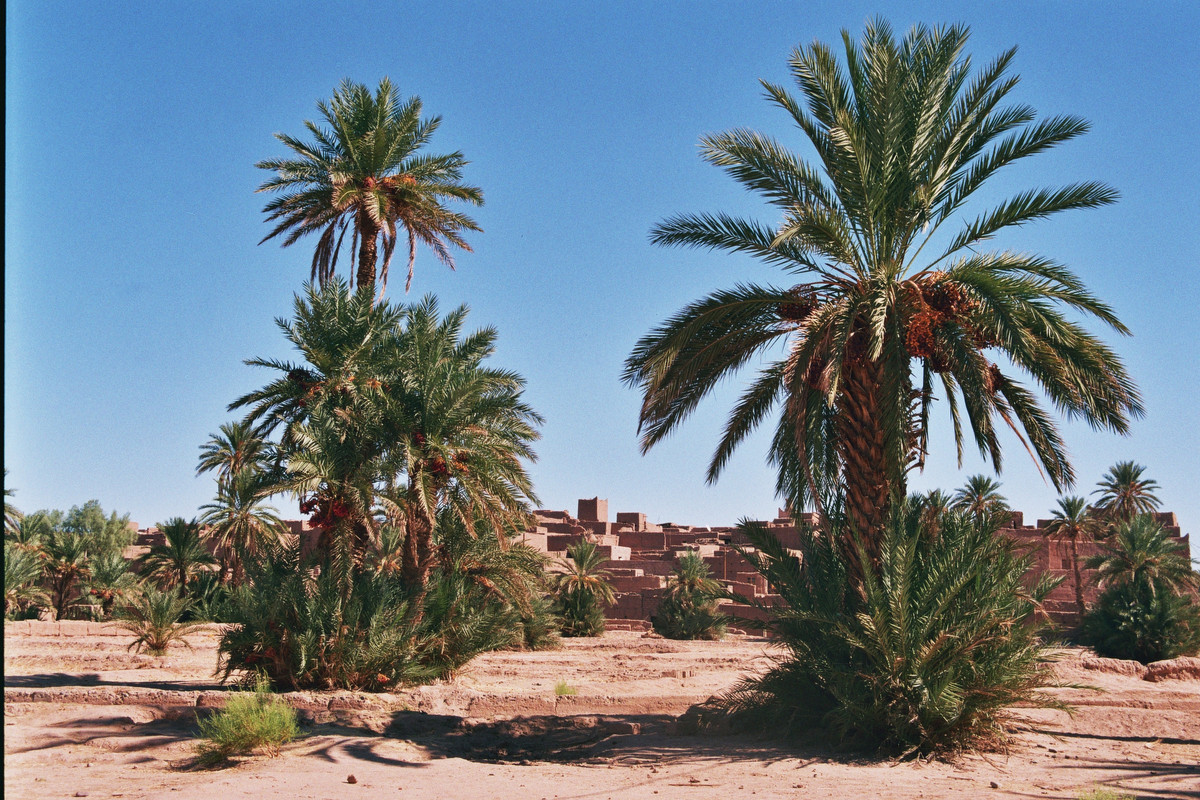 Al Desierto desde Marrakech: Erg Chebbi (Merzouga) y Zagora - Foro Marruecos, Túnez y Norte de África