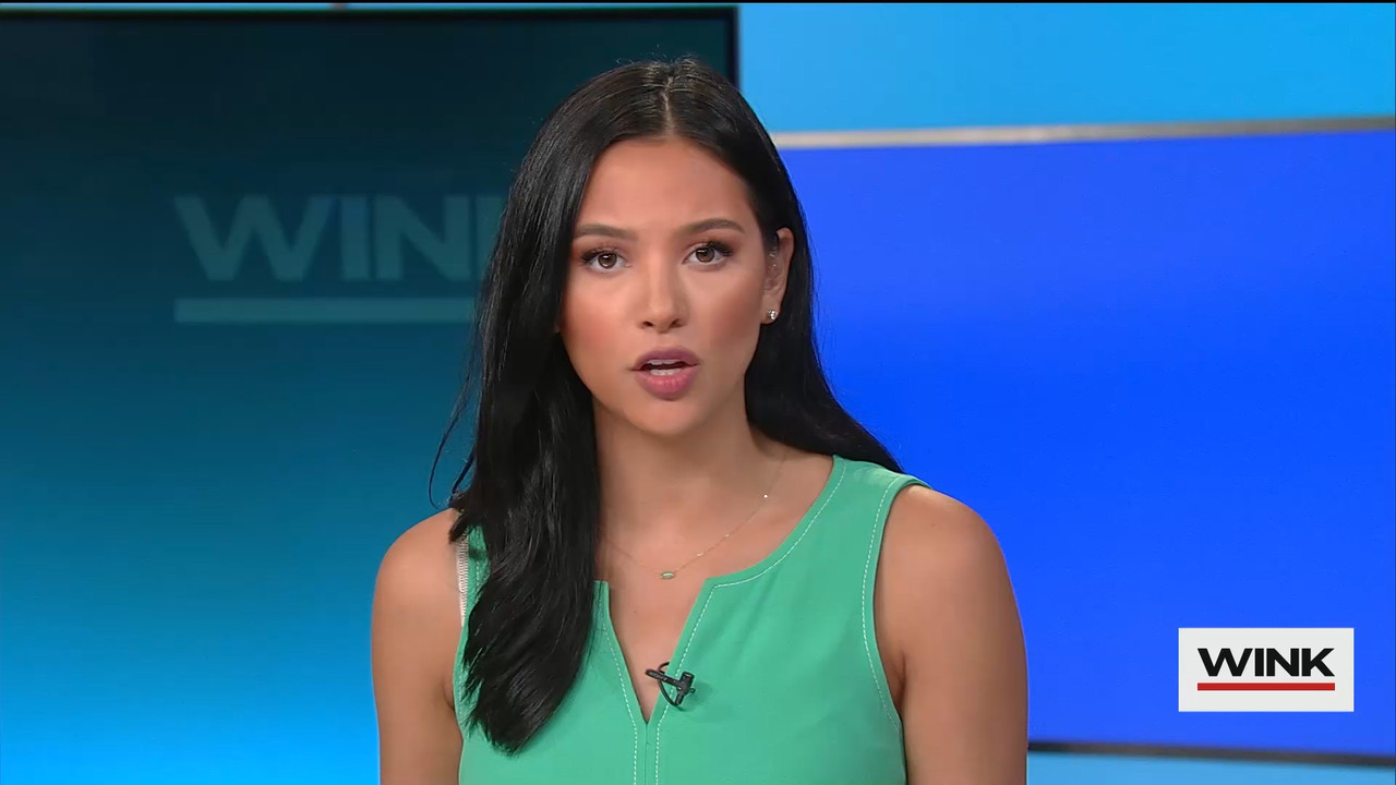 WINK News at 11 00 p.m. 2022_08_09_04_00_00.ts_snapshot_12.02.019