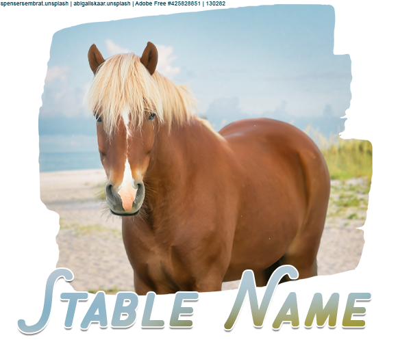 Beach-Pony-Bio.png