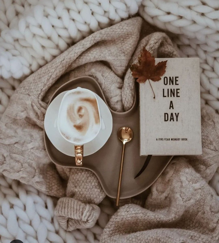 Screenshot_20231210_165505_Instagram