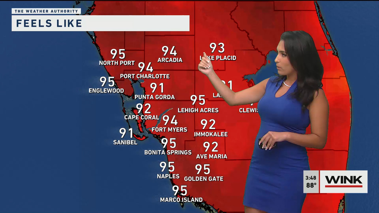 05.24 - 20.00.00 - WINK News at 3 00 p.m._001.ts_snapshot_00.59.677