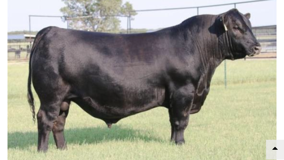 1643040B-8F98-4487-B73E-18A14D614065