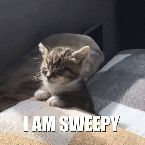 0da46f36d1c1aae66faf73b4cb0b0ab2.gif