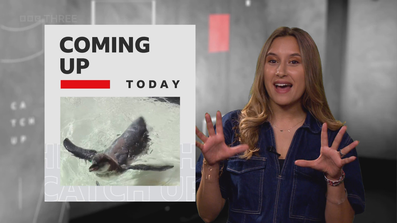 The Catch Up_20240628_20402045.ts_snapshot_08.17.759