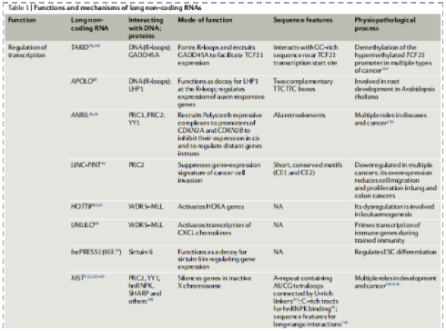 lncRNAs的基因调控及其生物学功能-2.png